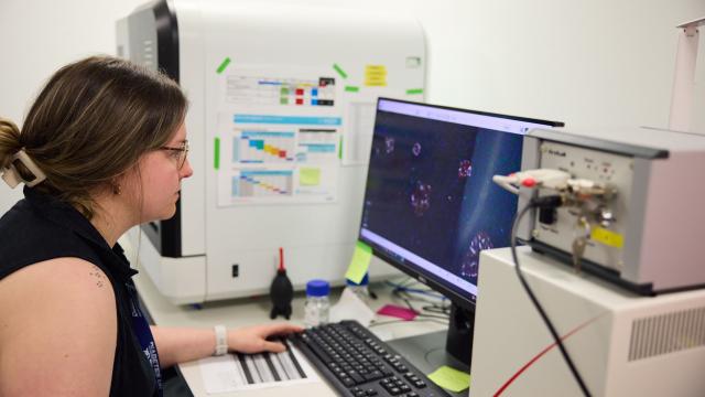 Woman sits working at a computer showing images of the pancreas 