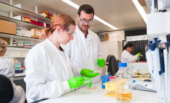 Two researchers doing experiments and discussing in a lab setting