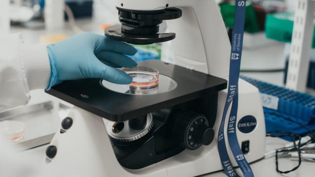 Microscope on a lab bench