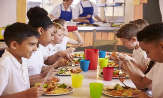 school children eat meal