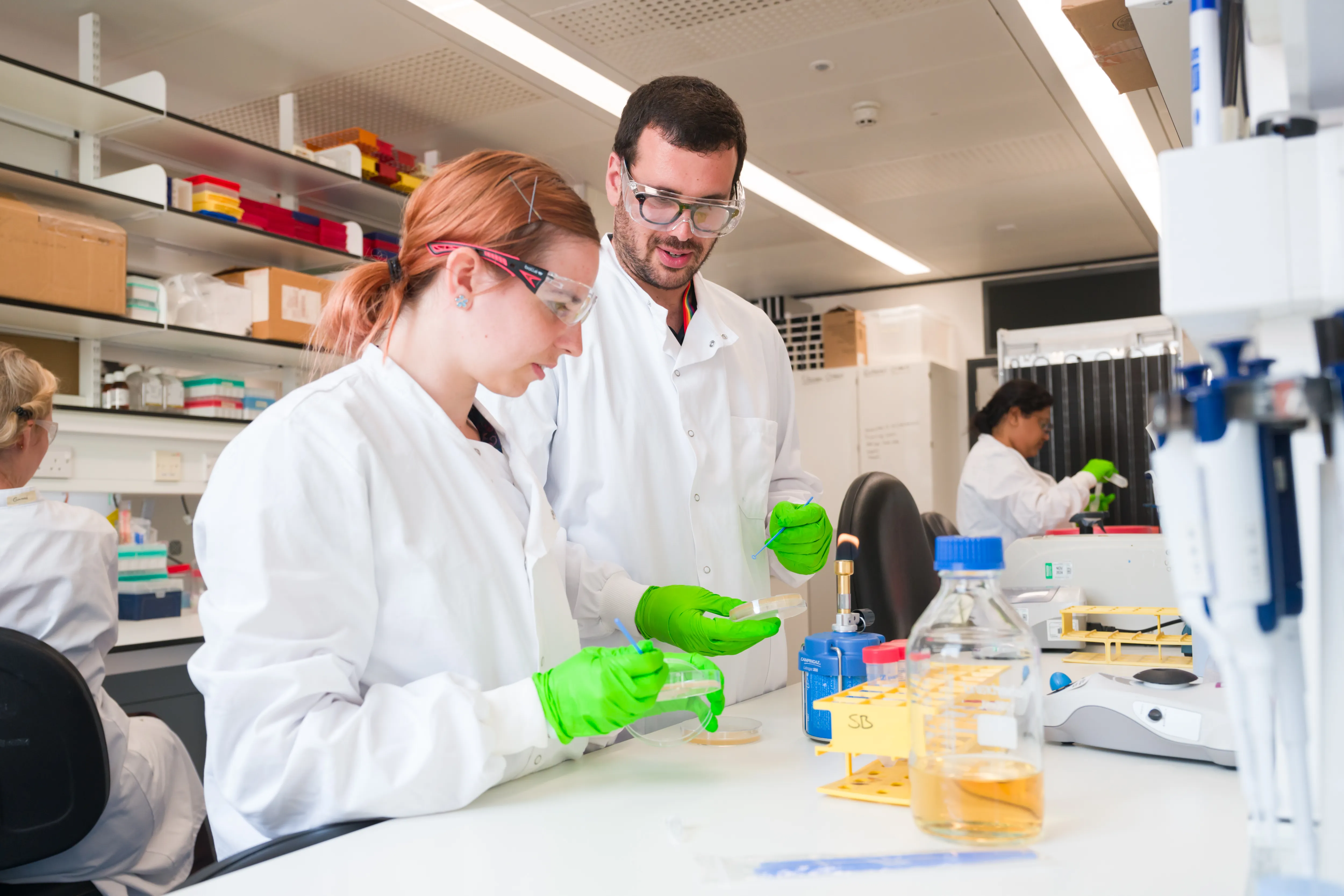 Two researchers doing experiments and discussing in a lab setting