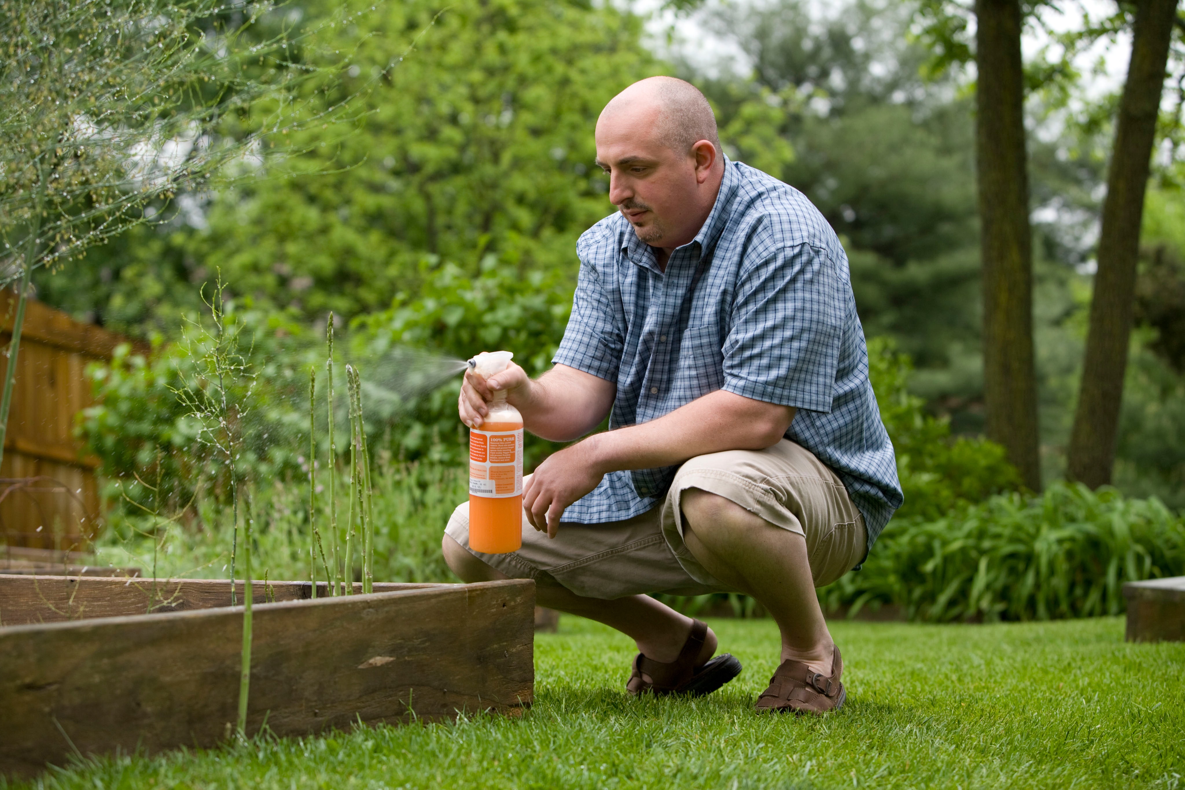 Man watering plants