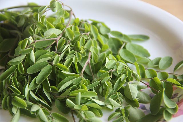 Leafy Greens, Leafy Green Vegetables