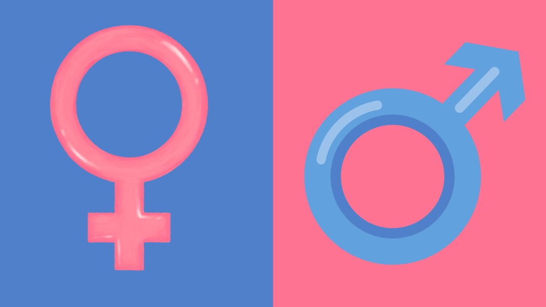 Male and female symbols